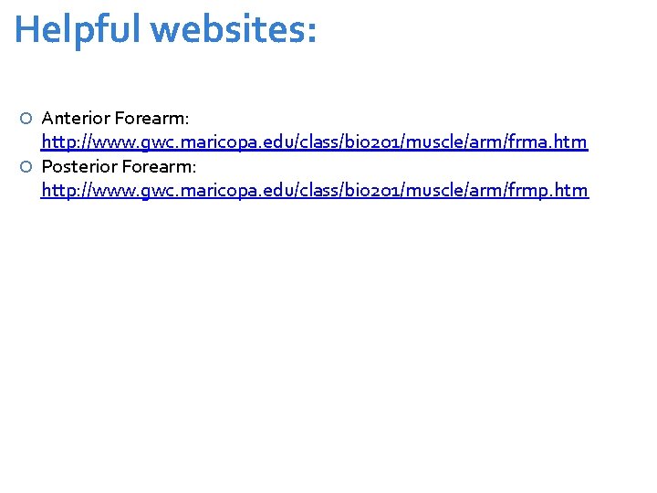 Helpful websites: Anterior Forearm: http: //www. gwc. maricopa. edu/class/bio 201/muscle/arm/frma. htm Posterior Forearm: http: