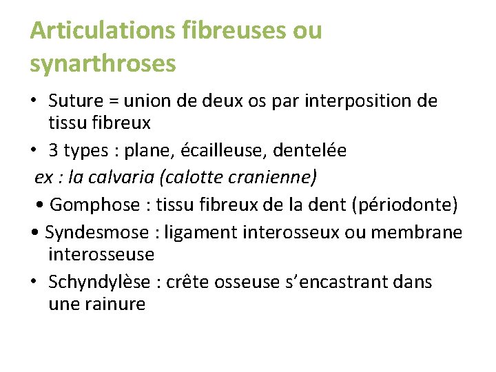 Articulations fibreuses ou synarthroses • Suture = union de deux os par interposition de Articulations fibreuses ou synarthroses • Suture = union de deux os par interposition de