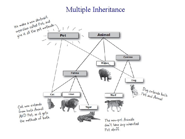 Multiple Inheritance 