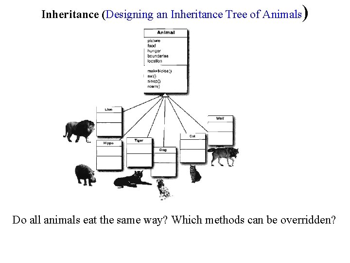 Inheritance (Designing an Inheritance Tree of Animals ) Do all animals eat the same