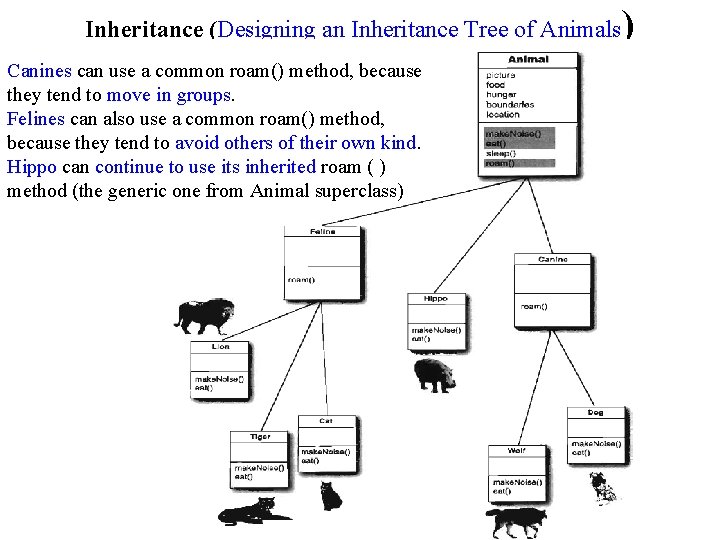 Inheritance (Designing an Inheritance Tree of Animals Canines can use a common roam() method,