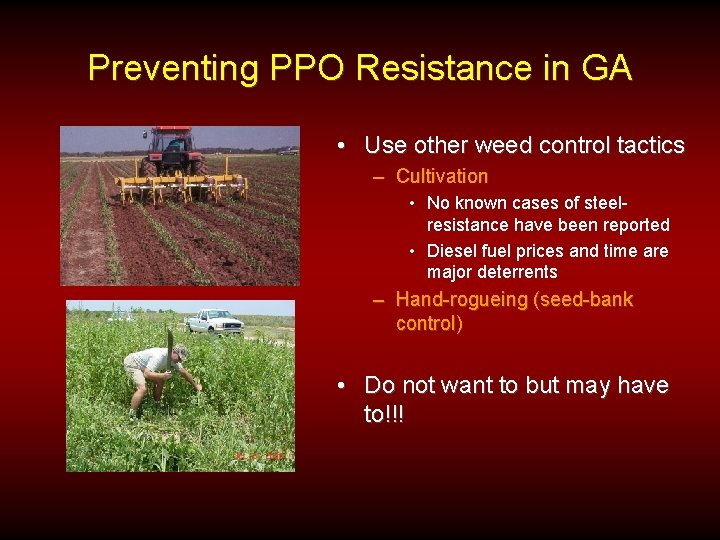 Preventing PPO Resistance in GA • Use other weed control tactics – Cultivation •