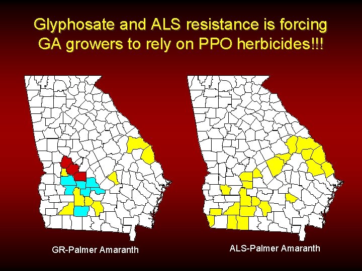 Glyphosate and ALS resistance is forcing GA growers to rely on PPO herbicides!!! GR-Palmer