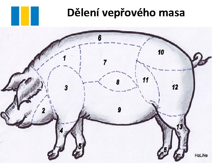 ing-martin-vacek-ablona-iii2-materilu-vy32inovacetpp546-technologie
