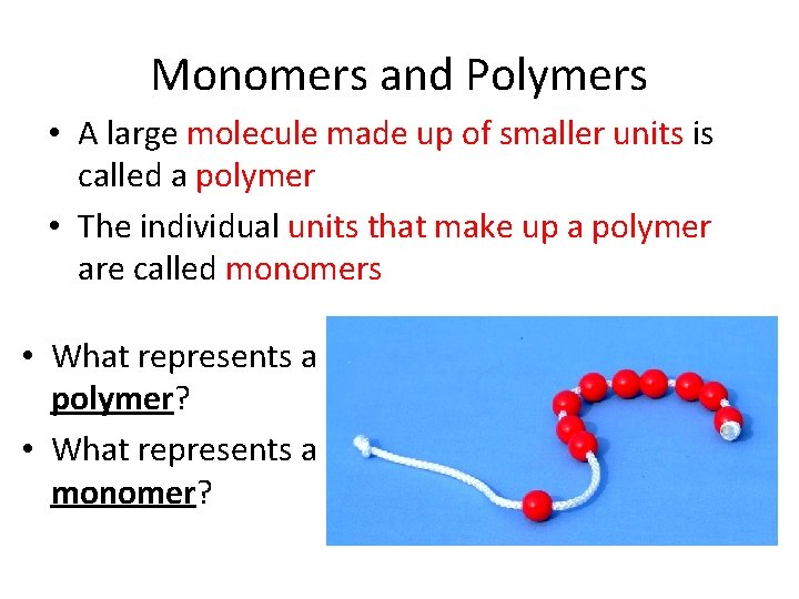 Monomers and Polymers • A large molecule made up of smaller units is called