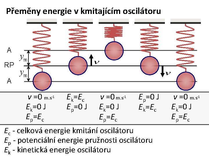 Přeměny energie v kmitajícím oscilátoru A RP A v =0 m. s Ek=0 J