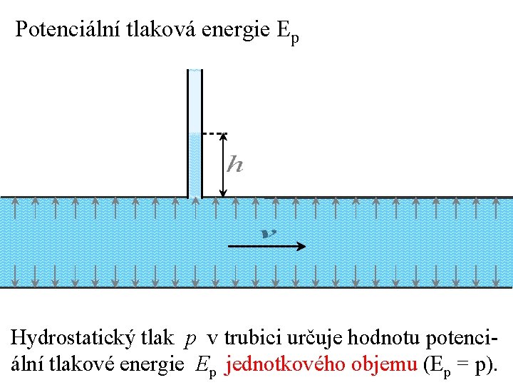 Potenciální tlaková energie Ep Hydrostatický tlak p v trubici určuje hodnotu potenciální tlakové energie