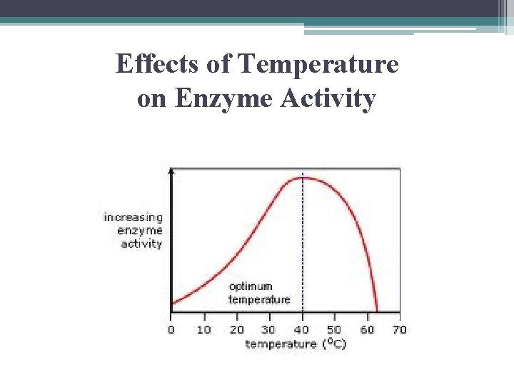 Effects of Temperature on Enzyme Activity 