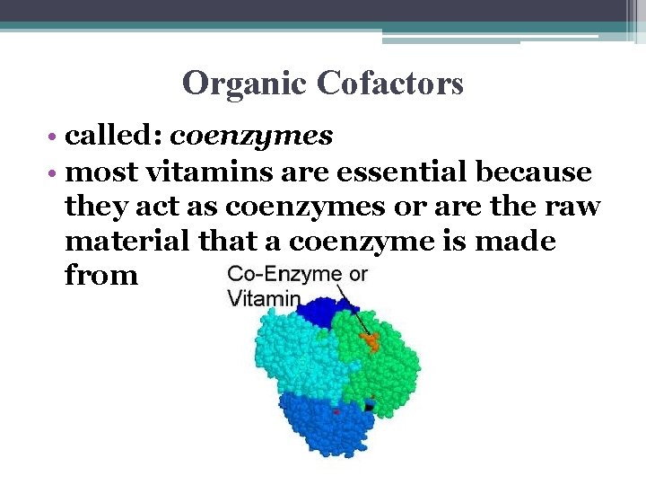 Organic Cofactors • called: coenzymes • most vitamins are essential because they act as