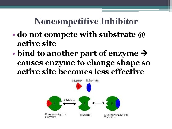 Noncompetitive Inhibitor • do not compete with substrate @ active site • bind to
