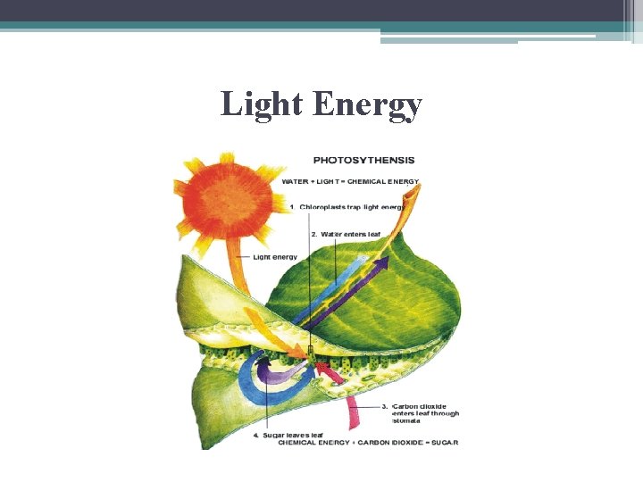 Light Energy 