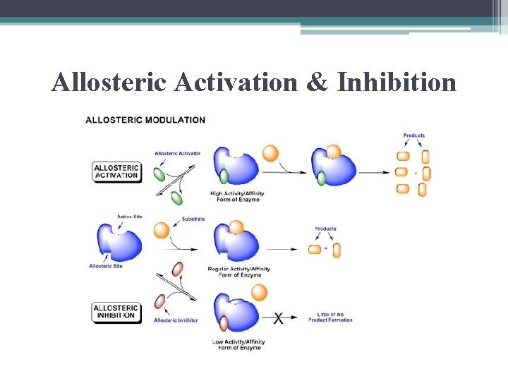 Allosteric Activation & Inhibition 