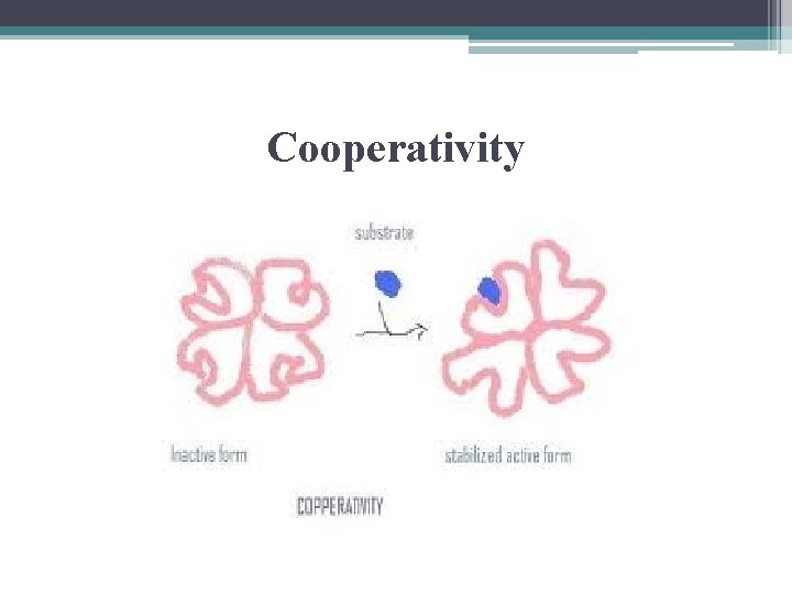 Cooperativity 