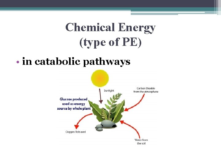 Chemical Energy (type of PE) • in catabolic pathways 