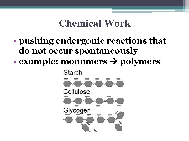 Chemical Work • pushing endergonic reactions that do not occur spontaneously • example: monomers