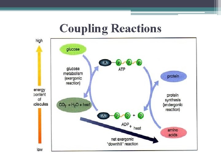 Coupling Reactions 