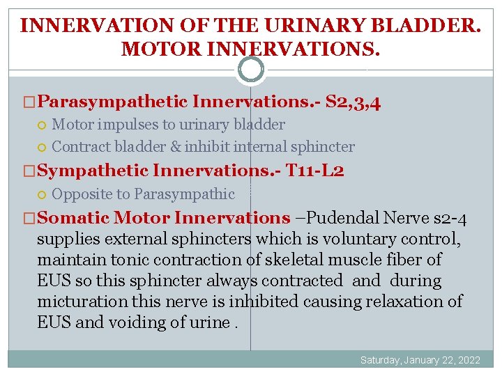 INNERVATION OF THE URINARY BLADDER. MOTOR INNERVATIONS. �Parasympathetic Innervations. - S 2, 3, 4
