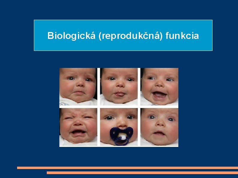 Biologická (reprodukčná) funkcia 