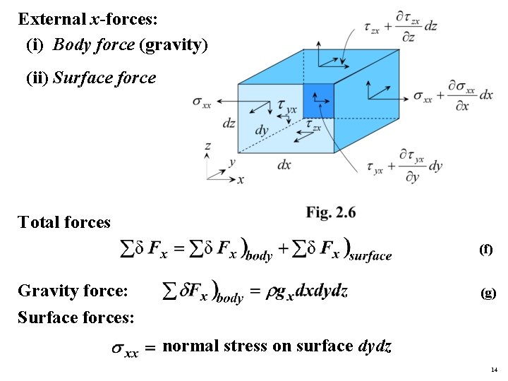 External x-forces: (i) Body force (gravity) (ii) Surface force Total forces (f) Gravity force: