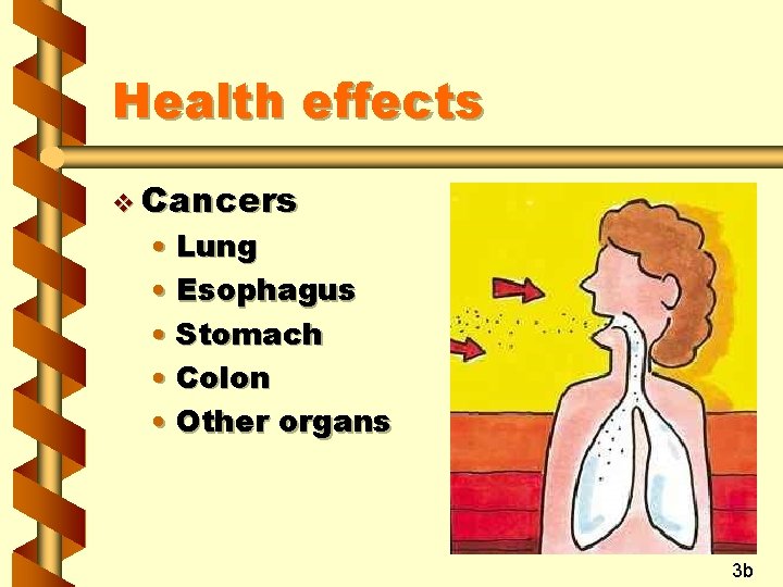 Health effects v Cancers • Lung • Esophagus • Stomach • Colon • Other