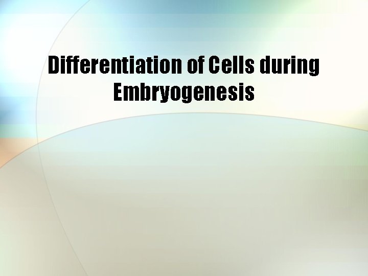 Differentiation of Cells during Embryogenesis 