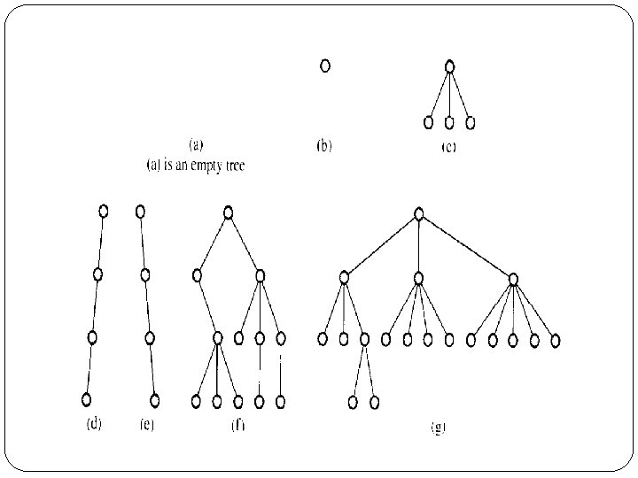 Binary Trees Chapter 6 6 1 Trees Binary