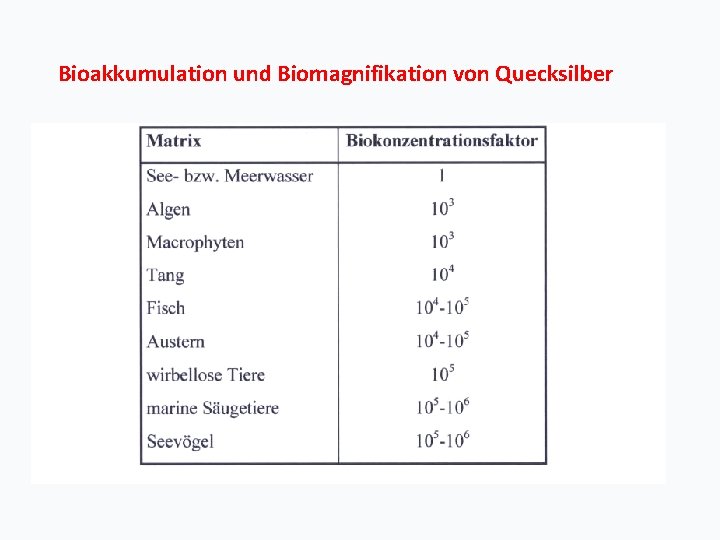 Bioakkumulation und Biomagnifikation von Quecksilber 