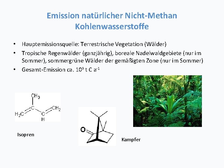 Emission natürlicher Nicht-Methan Kohlenwasserstoffe • Hauptemissionsquelle: Terrestrische Vegetation (Wälder) • Tropische Regenwälder (ganzjährig), boreale
