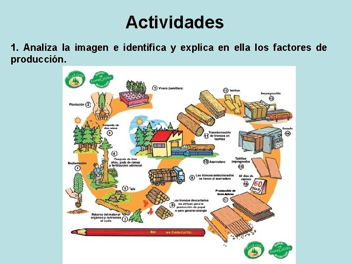 Actividades 1. Analiza la imagen e identifica y explica en ella los factores de