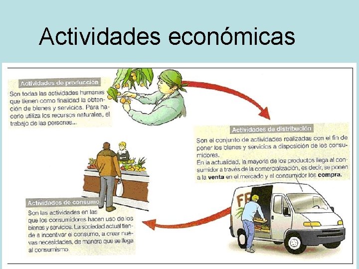 Actividades económicas 