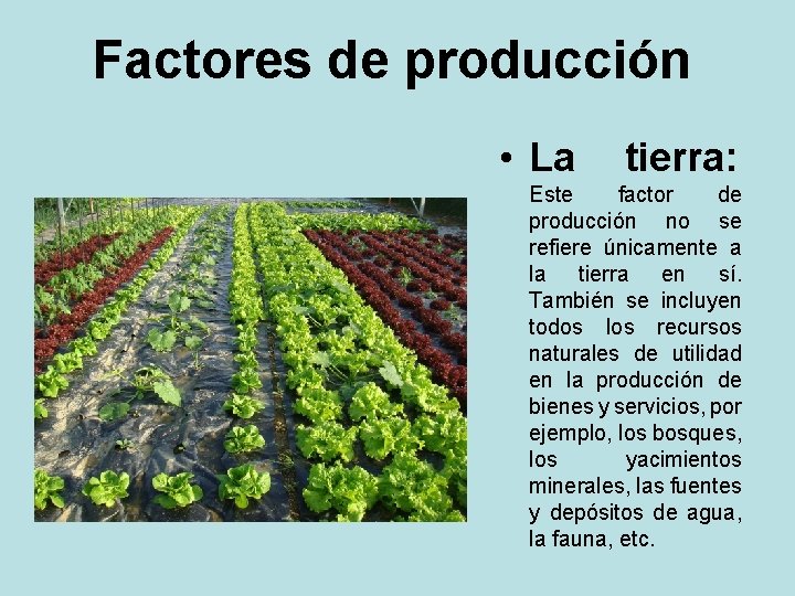 Factores de producción • La tierra: Este factor de producción no se refiere únicamente