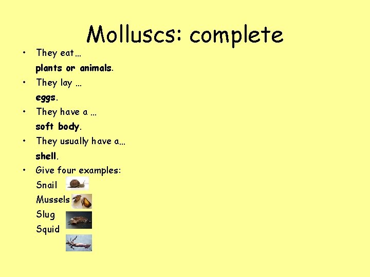  • They eat… Molluscs: complete plants or animals. • They lay … eggs.