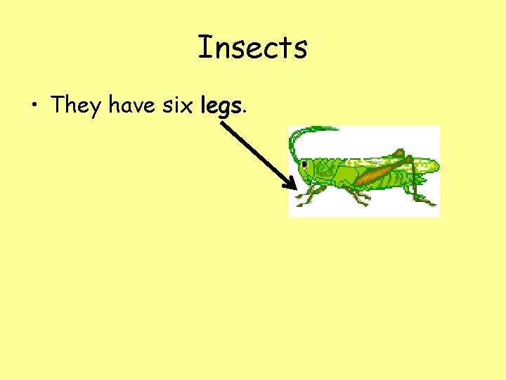 Insects • They have six legs. 