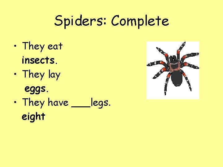 Spiders: Complete • They eat insects. • They lay eggs. • They have ___legs.