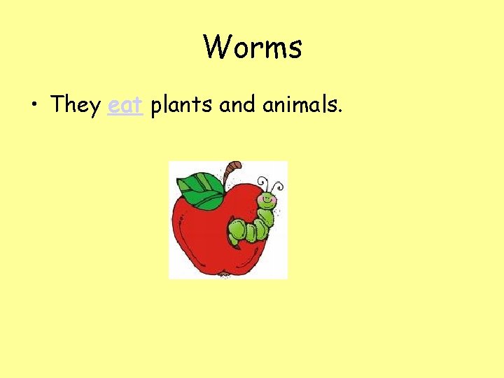 Worms • They eat plants and animals. 