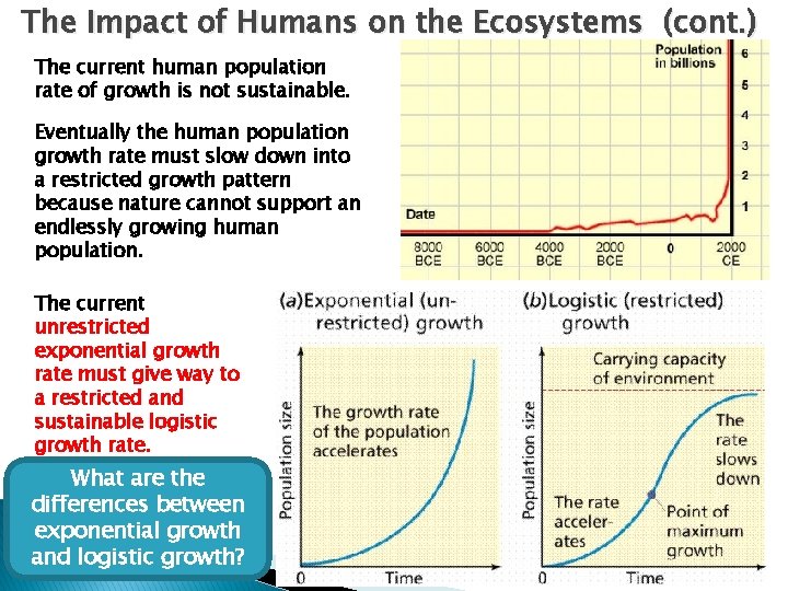 The Impact of Humans on the Ecosystems (cont. ) The current human population rate