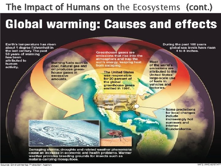 The Impact of Humans on the Ecosystems (cont. ) 