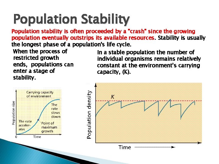 Population Stability Population stability is often proceeded by a "crash" since the growing population