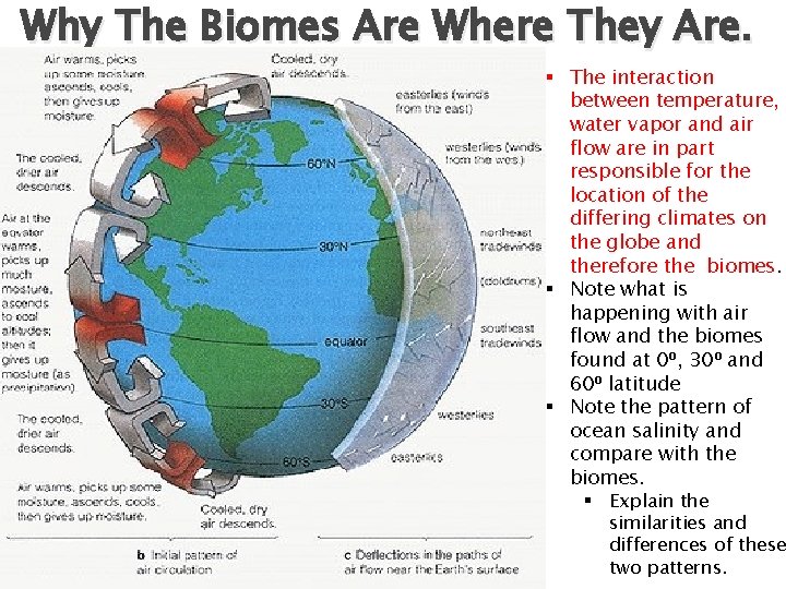 Why The Biomes Are Where They Are. § The interaction between temperature, water vapor