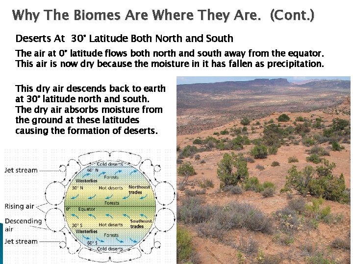 Why The Biomes Are Where They Are. (Cont. ) Deserts At 30° Latitude Both