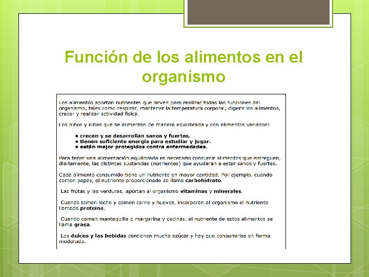 Función de los alimentos en el organismo 