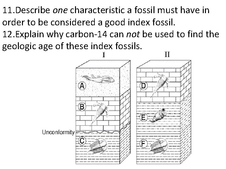 11. Describe one characteristic a fossil must have in order to be considered a