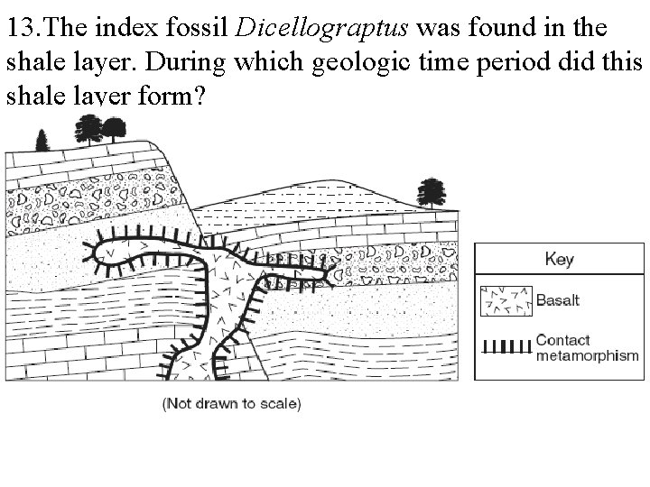 13. The index fossil Dicellograptus was found in the shale layer. During which geologic