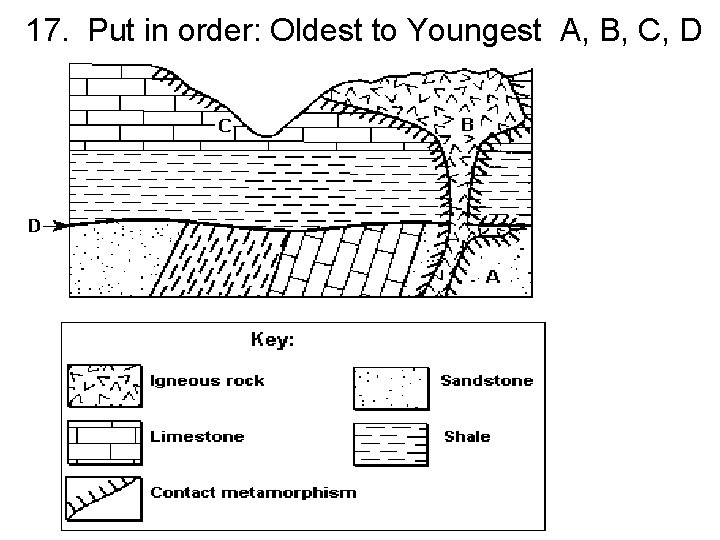 17. Put in order: Oldest to Youngest A, B, C, D 
