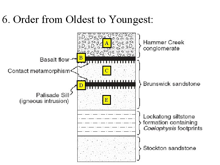 6. Order from Oldest to Youngest: d A B d C d D d