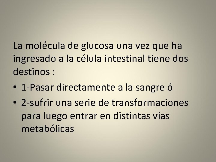 La molécula de glucosa una vez que ha ingresado a la célula intestinal tiene