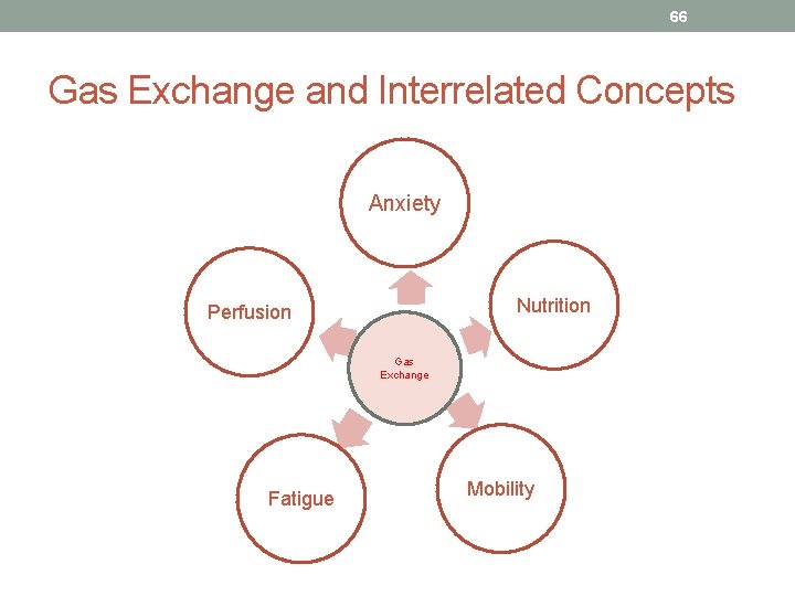 66 Gas Exchange and Interrelated Concepts Anxiety Nutrition Perfusion Gas Exchange Fatigue Mobility 