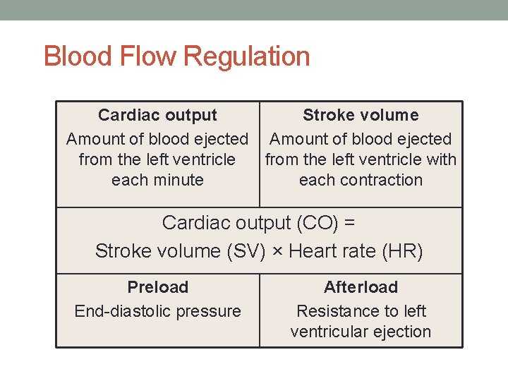 Blood Flow Regulation Cardiac output Stroke volume Amount of blood ejected from the left