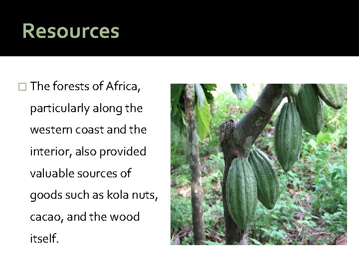 Resources � The forests of Africa, particularly along the western coast and the interior,