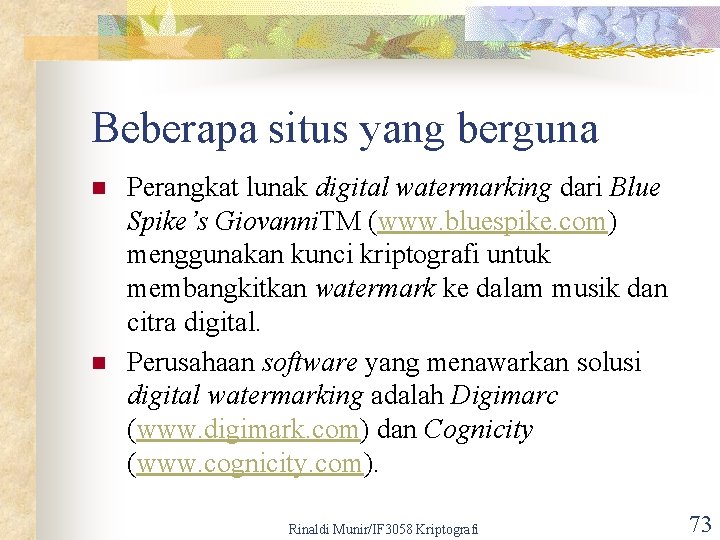 Beberapa situs yang berguna n n Perangkat lunak digital watermarking dari Blue Spike’s Giovanni.